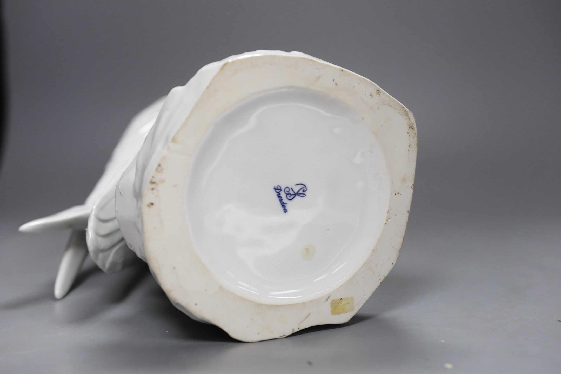 A Dresden white porcelain falcon, 43cm